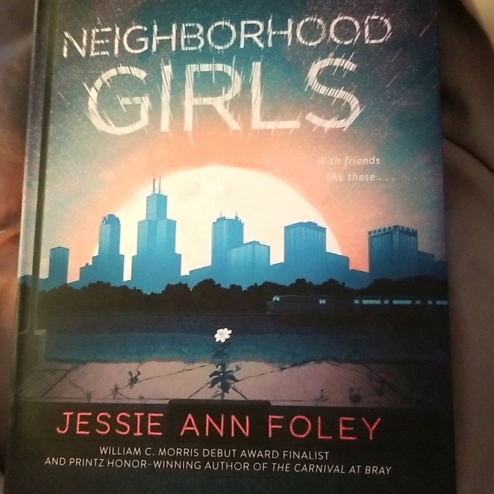BOGO OR 3/$10 Brand new hardback book